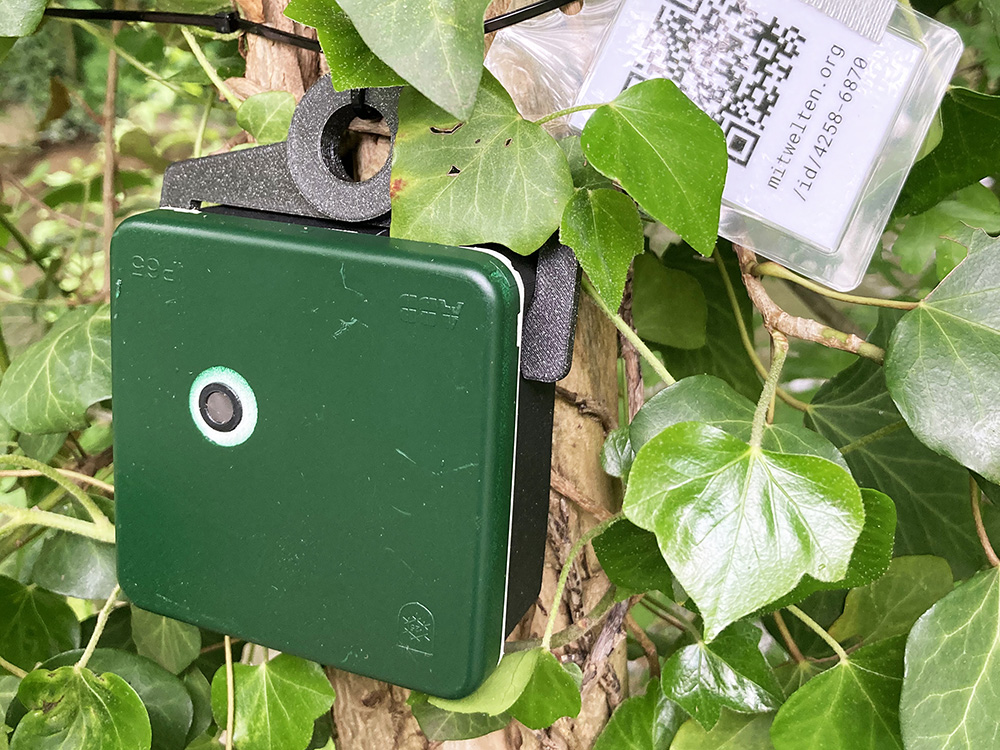 'AudioMoth' audio logger in camouflaged casing, with QR code for interested passers-by.